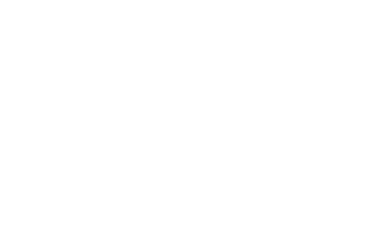 Tactical IT & Consulting